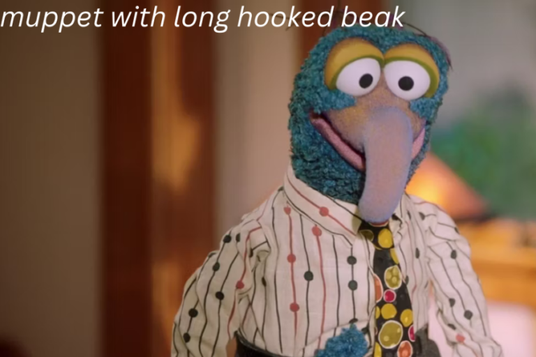 The Fascination with the Muppet with a Long Hooked Beak