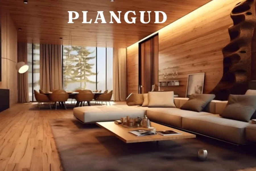 Plangud